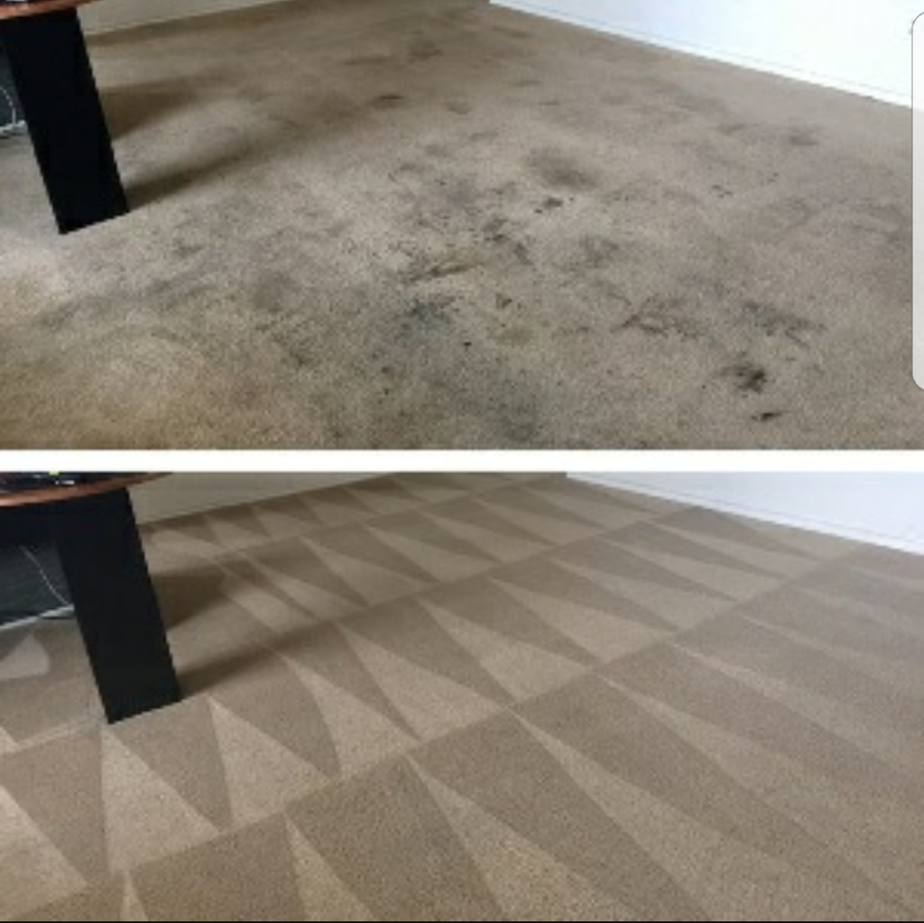 All American Carpet/Upholstery | 555 Sandel Way #106, San Jose, CA 95136 | Phone: (669) 300-2289