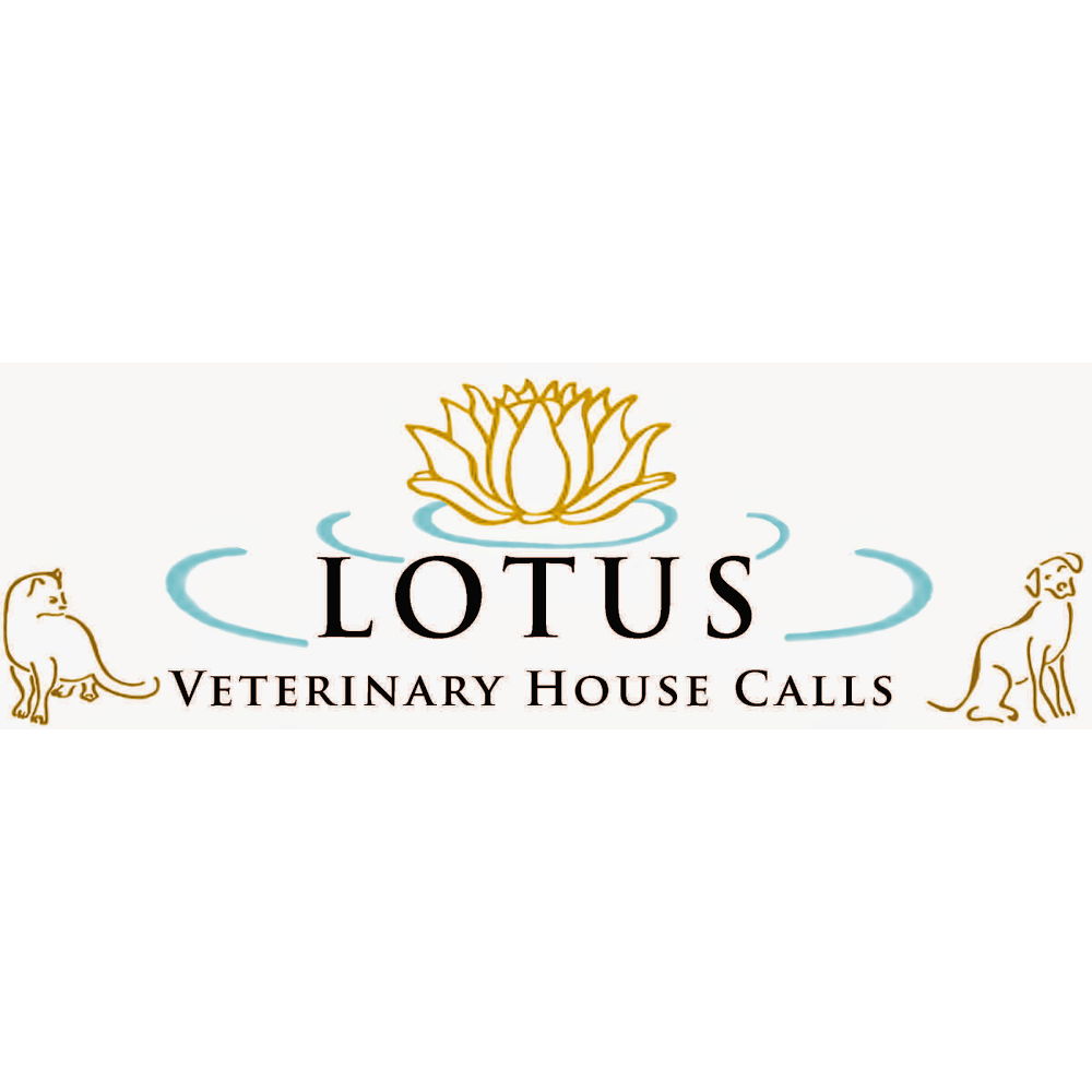 Lotus Veterinary House Calls | 825 Moultrie St, San Francisco, CA 94110 | Phone: (415) 484-5842