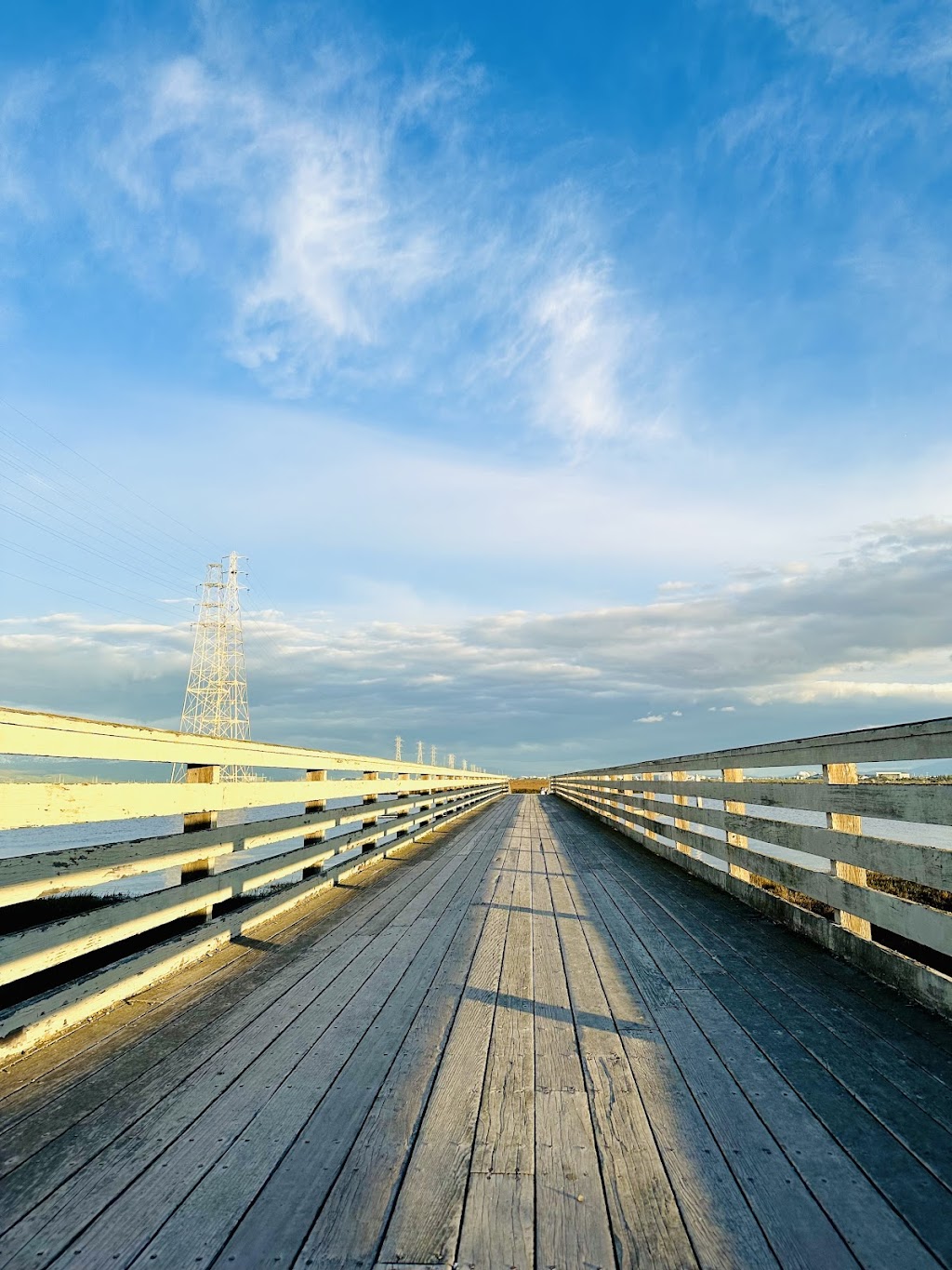 Baylands Nature Preserve | 2500 Embarcadero Rd, Palo Alto, CA 94303 | Phone: (650) 617-3156