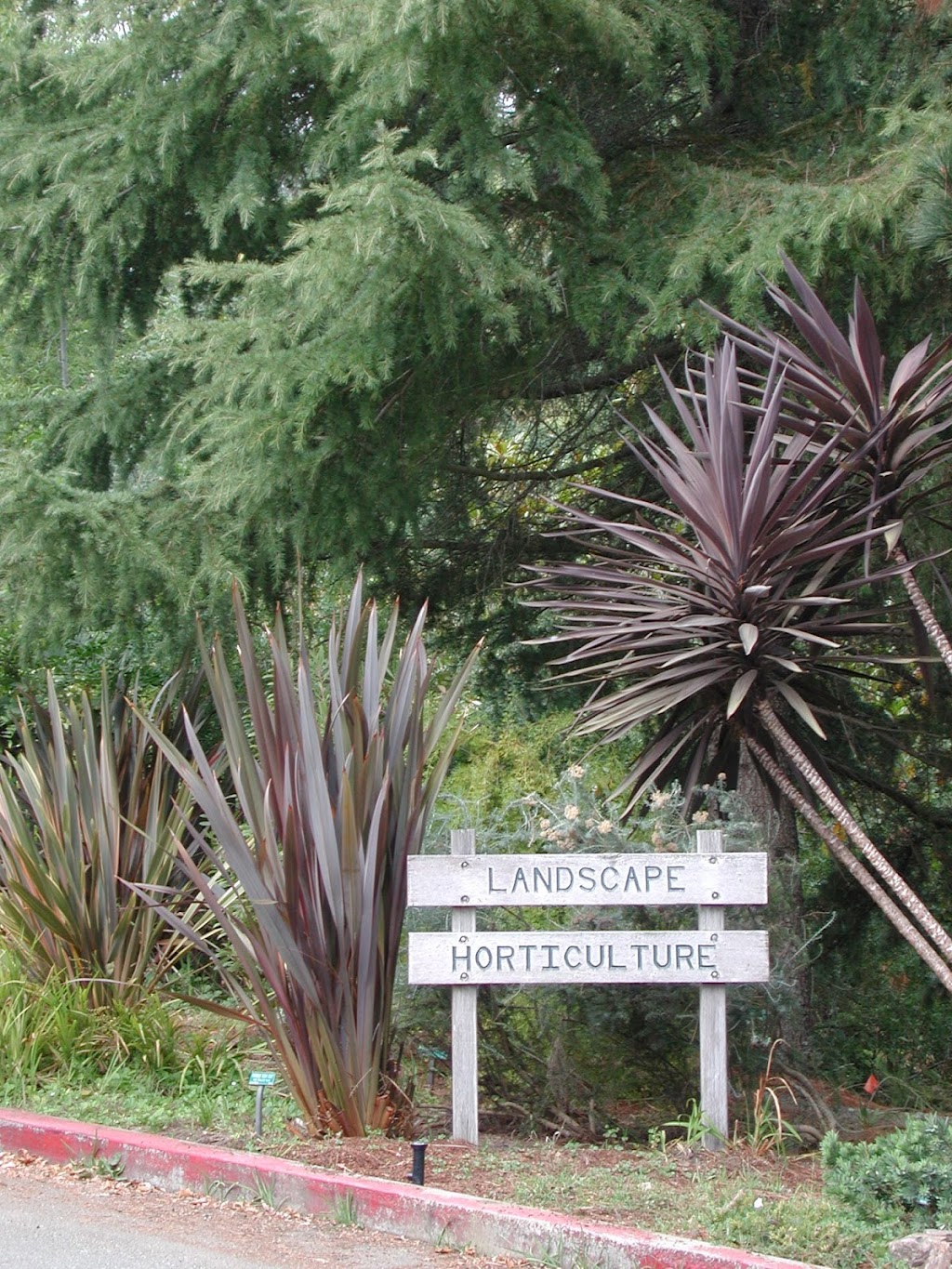 Merritt College Landscape Horticulture | 12500 Campus Dr, Oakland, CA 94619 | Phone: (510) 436-2418