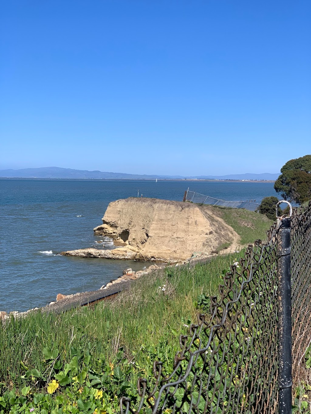 Shoreline Park Area Picnic | 1000 Tug Boat Ln, Hercules, CA 94547 | Phone: (510) 799-8291