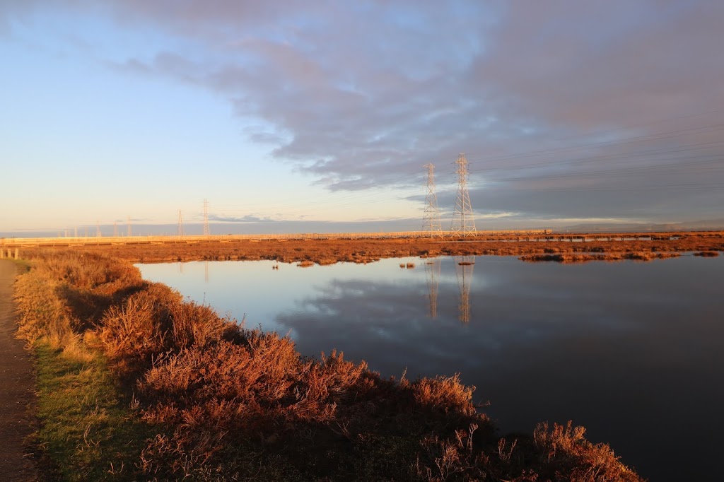 Baylands Nature Preserve | 2500 Embarcadero Rd, Palo Alto, CA 94303 | Phone: (650) 617-3156