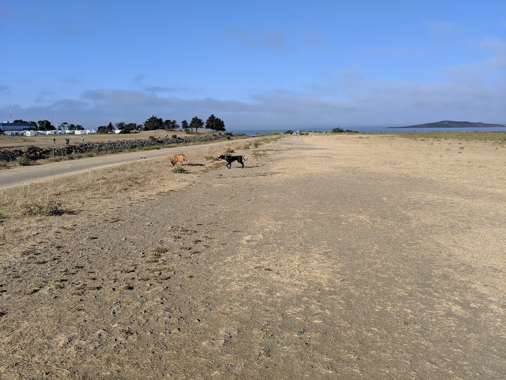 Point Isabel Regional Shoreline | 2701 Isabel St, Richmond, CA 94804 | Phone: (888) 327-2757