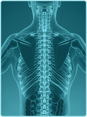 Comprehensive Spine & Sports: Melnik Irina L MD | 655 Redwood Hwy #203, Mill Valley, CA 94941 | Phone: (415) 388-3808