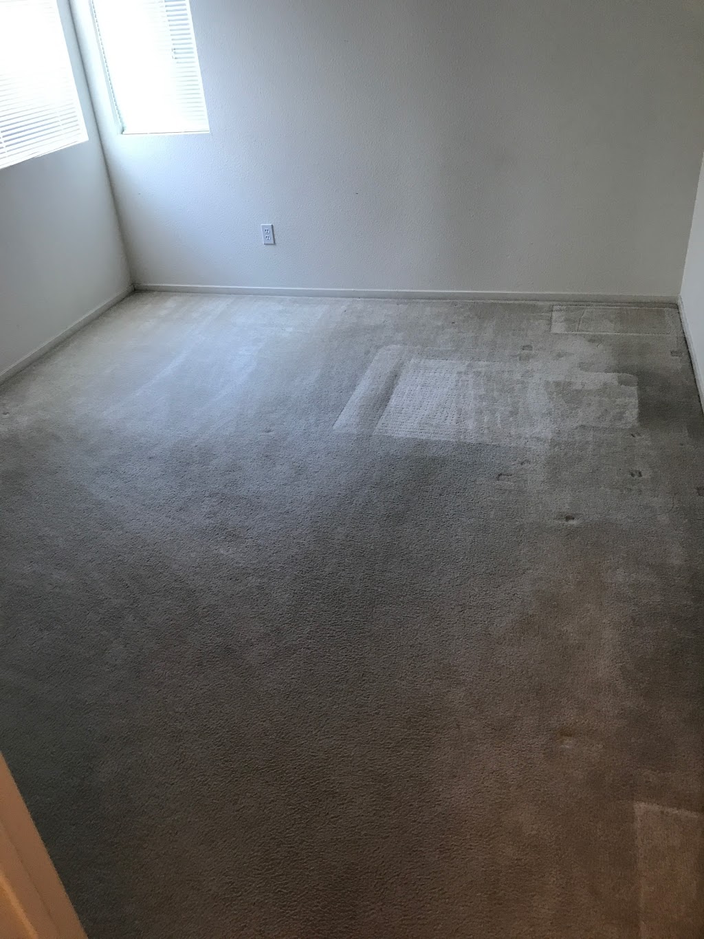 Dependable Carpet Cleaning | 10 Terri Ct, Oakley, CA 94561 | Phone: (925) 516-0911