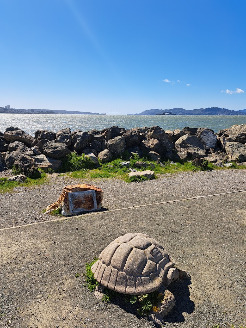 Treasure Island Dog Park | San Francisco, CA 94130 | Phone: (415) 274-0660