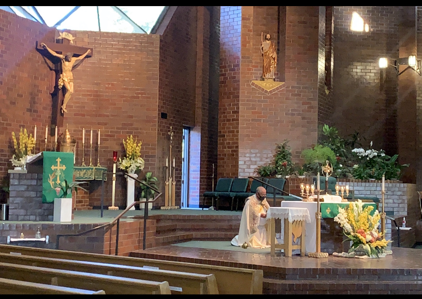 St. Catherine of Siena Catholic Church | 3450 Tennessee St, Vallejo, CA 94591 | Phone: (707) 553-1355