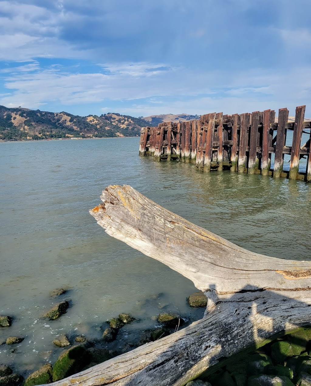 Radke Martinez Regional Shoreline Park | Ferry St, Martinez, CA 94553 | Phone: (888) 327-2757