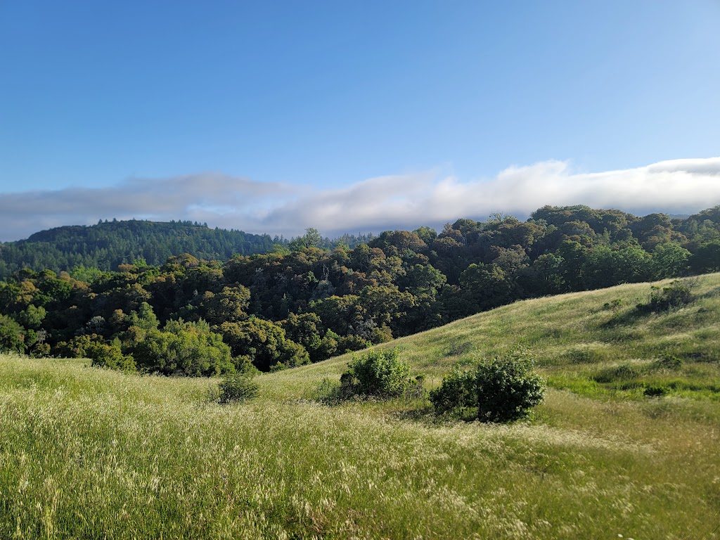 Monte Bello Open Space Preserve | 4301 Page Mill Rd, Los Altos, CA 94022 | Phone: (650) 691-1200