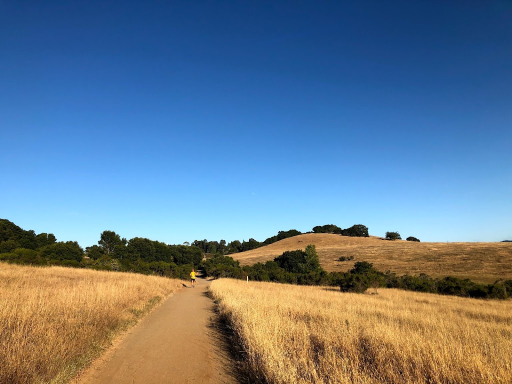 Edgewood Park & Natural Preserve | 10 Old Stage Coach Rd, Redwood City, CA 94062 | Phone: (650) 368-6283