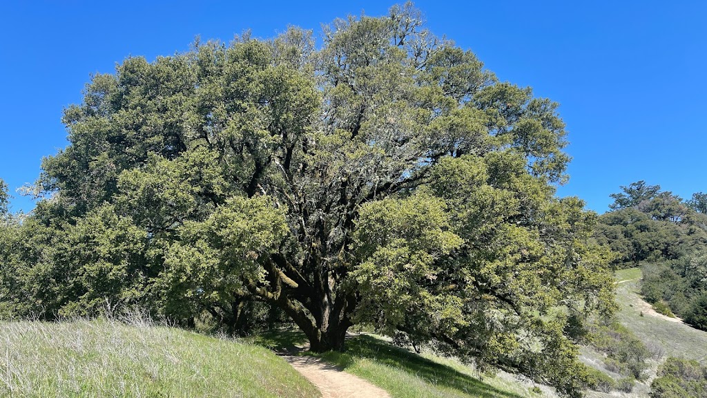 Russian Ridge Open Space Preserve | Redwood City, CA 94062 | Phone: (650) 691-1200