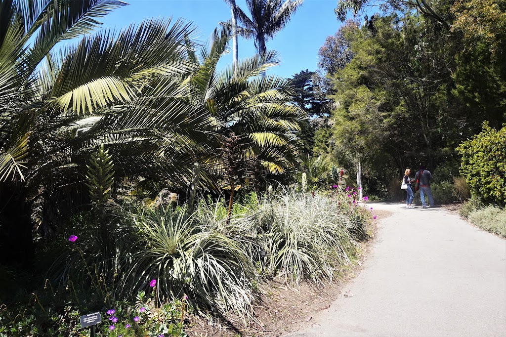 Andean Cloud Forest | San Francisco Botanical Garden, San Francisco, CA 94122 | Phone: (415) 661-1316