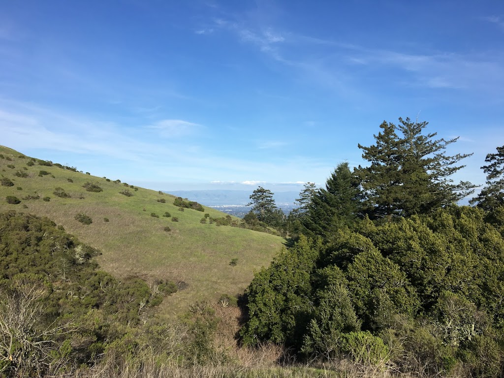 Windy Hill Open Space Preserve | Portola Valley, CA 94028 | Phone: (650) 691-1200