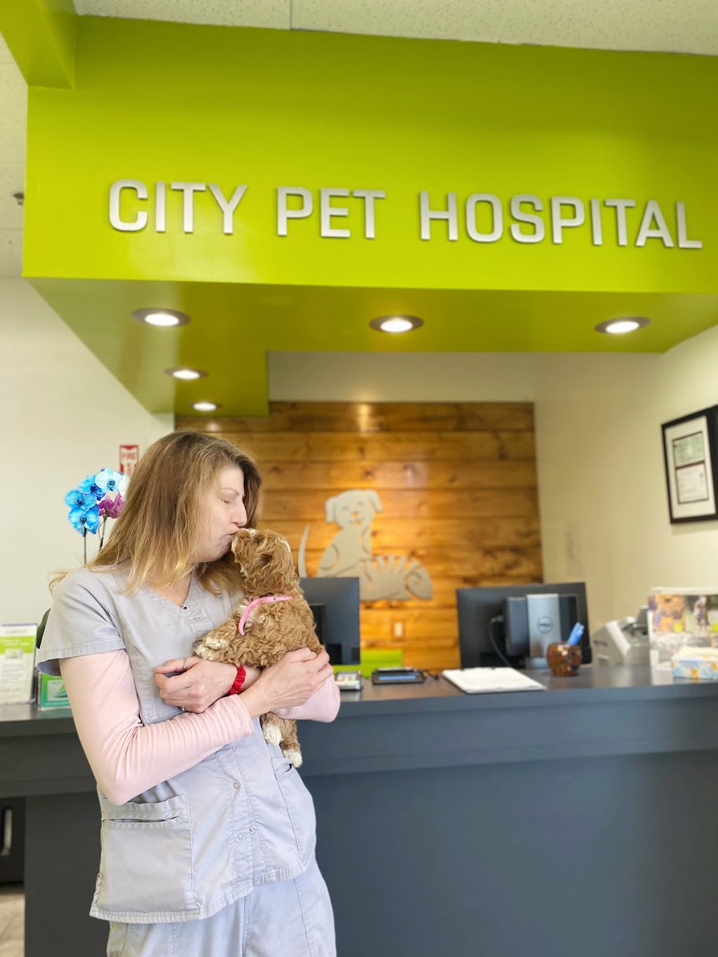 City Pet Hospital | 170 Skyline Plaza, Daly City, CA 94015 | Phone: (415) 859-5676