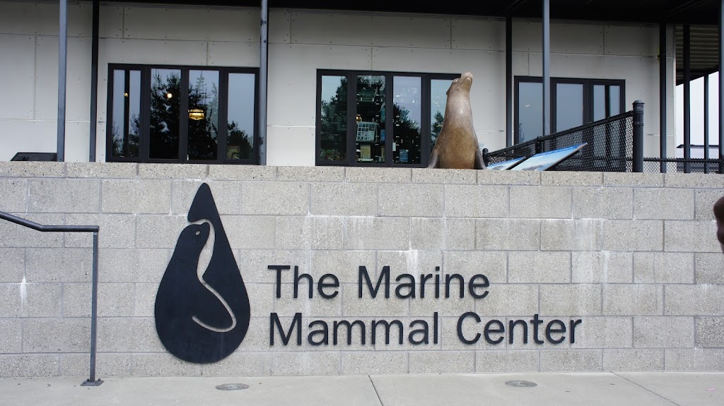 The Marine Mammal Center | 2000 Bunker Rd, Sausalito, CA 94965 | Phone: (415) 289-7325