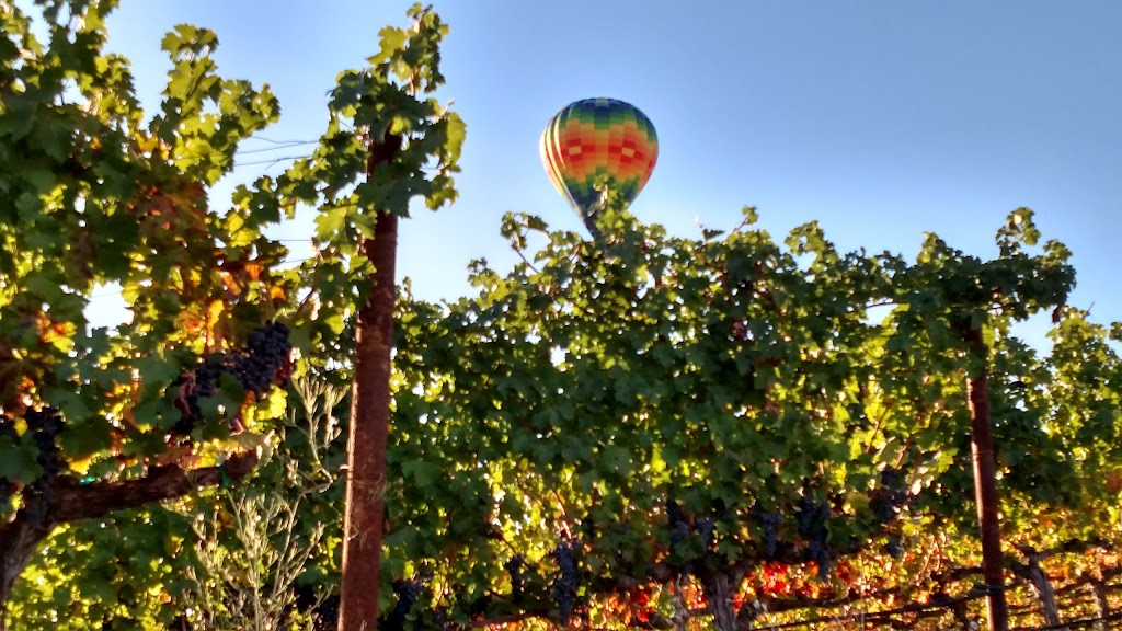 Olney Family Vineyard, Cave and Winery | 2253 Dry Creek Rd, Napa, CA 94558 | Phone: (707) 999-1795