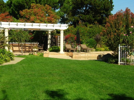 Mrs Greenlawn "the greener than green lawn" | 140 Kennedy Ave, Campbell, CA 95008 | Phone: (408) 374-3344
