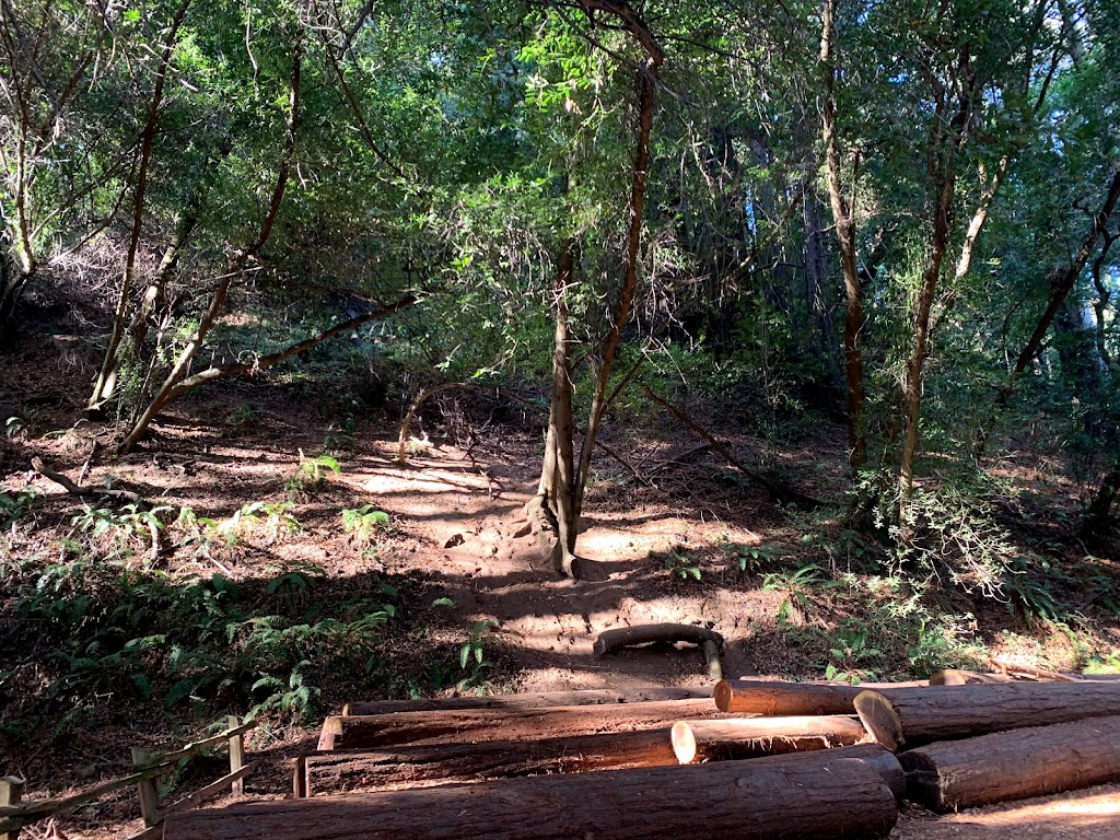 Fern Dell Group Campsite | 7867 Redwood Rd, Oakland, CA 94619 | Phone: (888) 327-2757 ext. 2