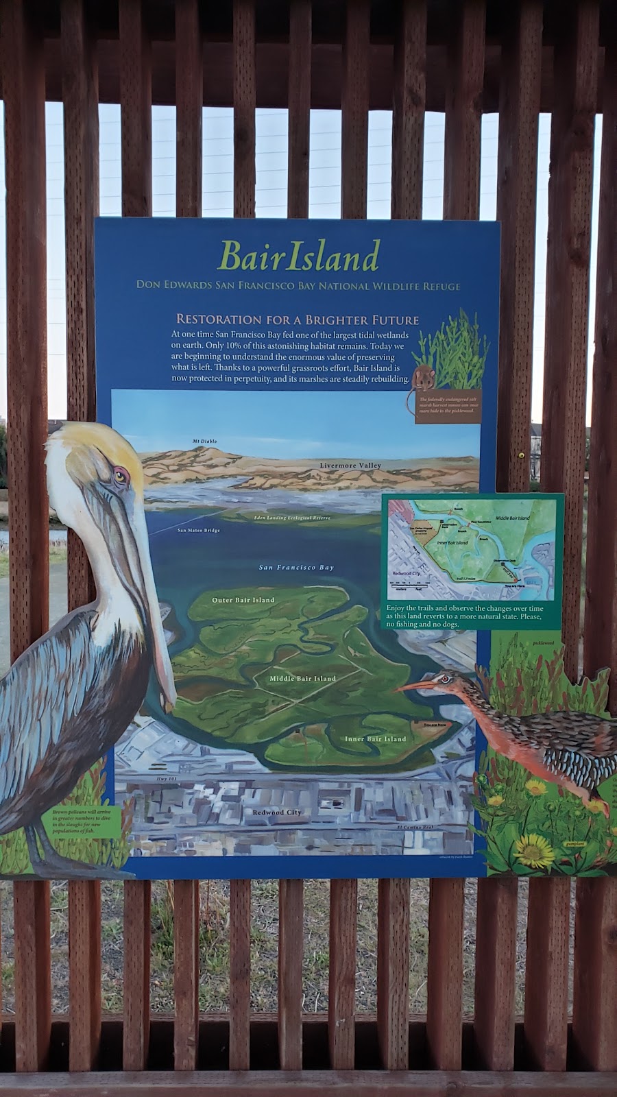 Bair Island Wildlife Refuge & Trail | 3 Uccelli Dr, Redwood City, CA 94063 | Phone: (510) 792-0222