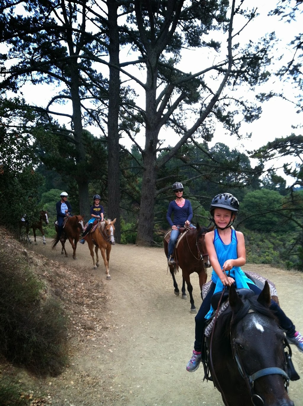 Kenilworth Stables | 5745 Redwood Rd, Oakland, CA 94619 | Phone: (510) 531-5745