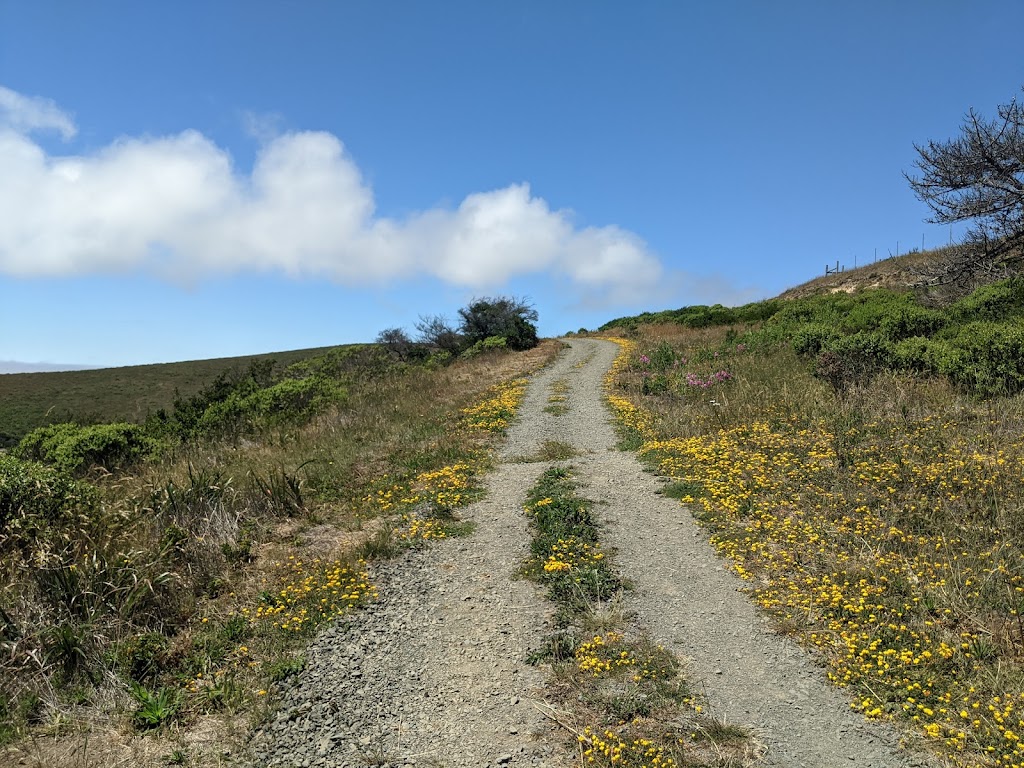 Tomales Bay Trailhead | Tomales Bay Trail, Point Reyes Station, CA 94956 | Phone: (415) 464-5100
