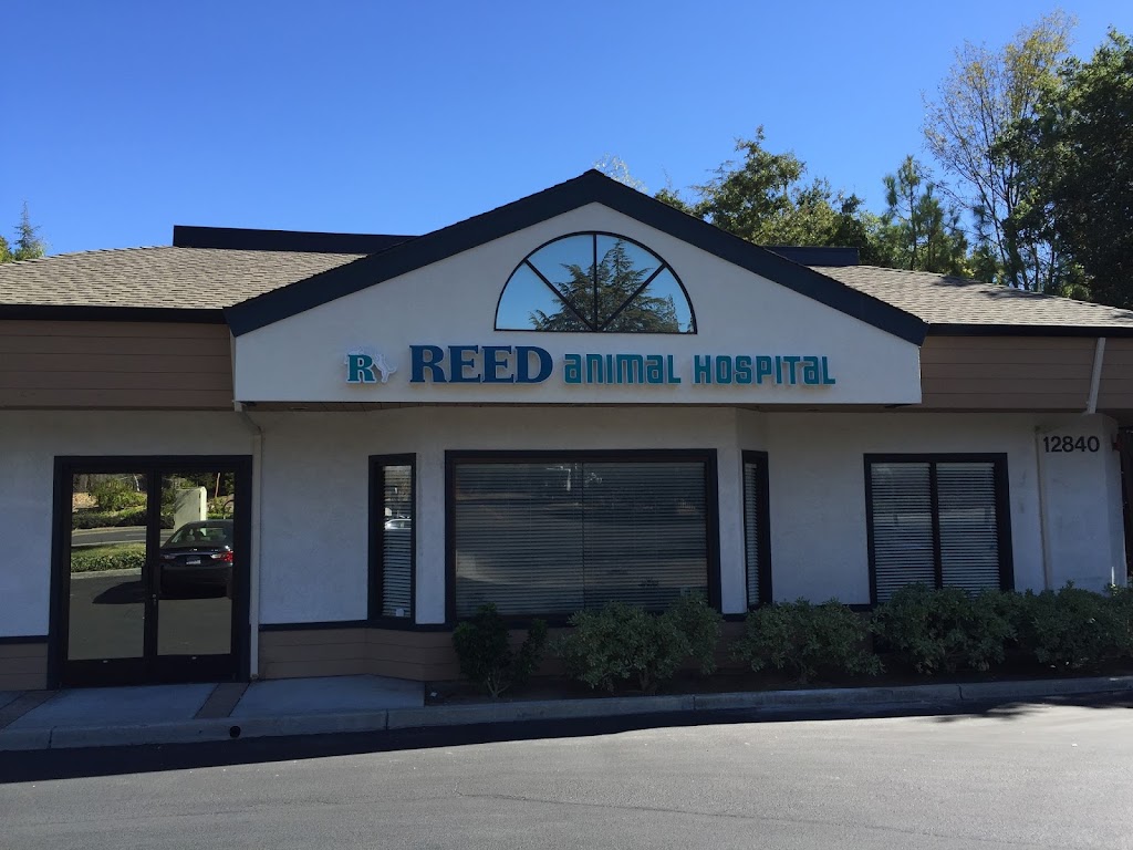Reed Animal Hospital Saratoga | 12840 Saratoga Sunnyvale Rd # 600, Saratoga, CA 95070 | Phone: (408) 647-2906