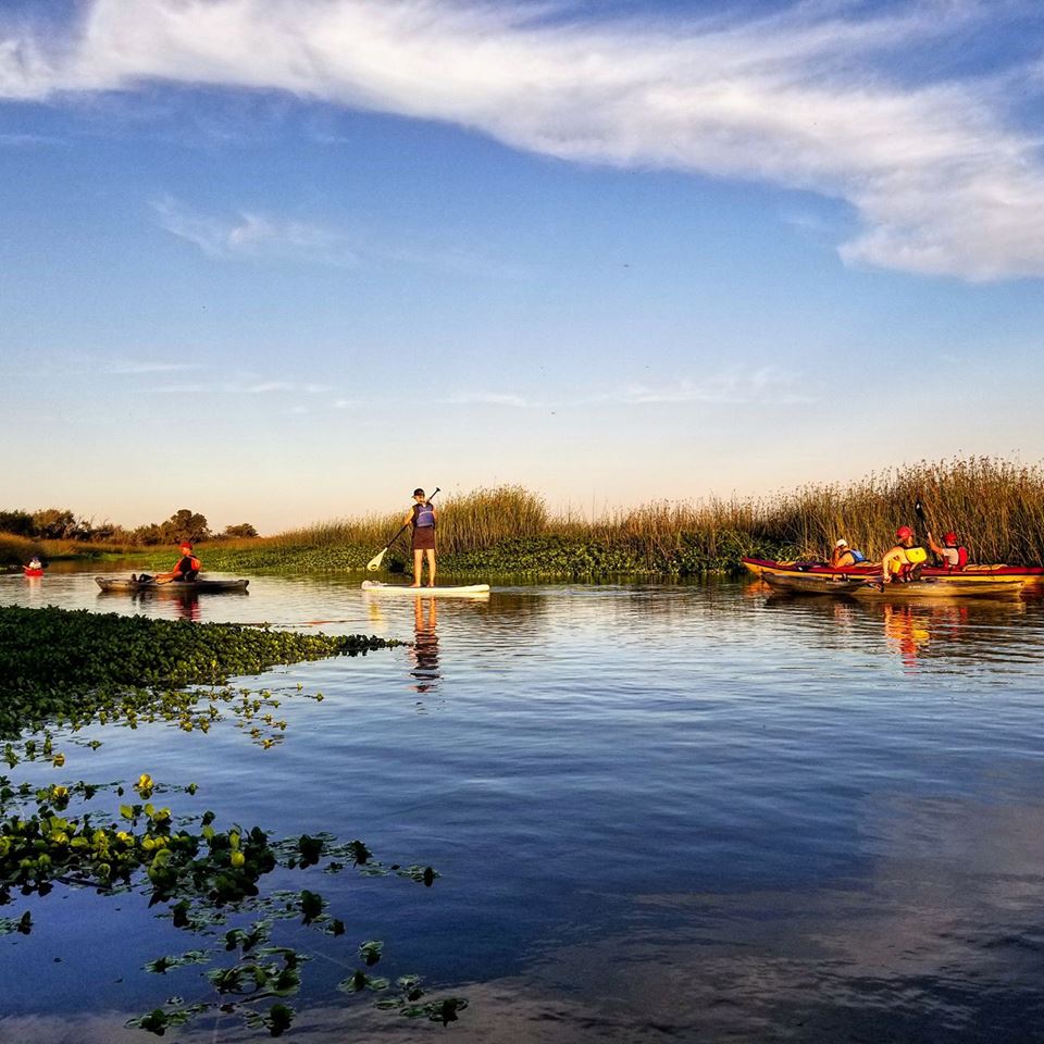 Delta Kayak Adventures | 5 Marina Plaza, Antioch, CA 94509 | Phone: (925) 642-5764