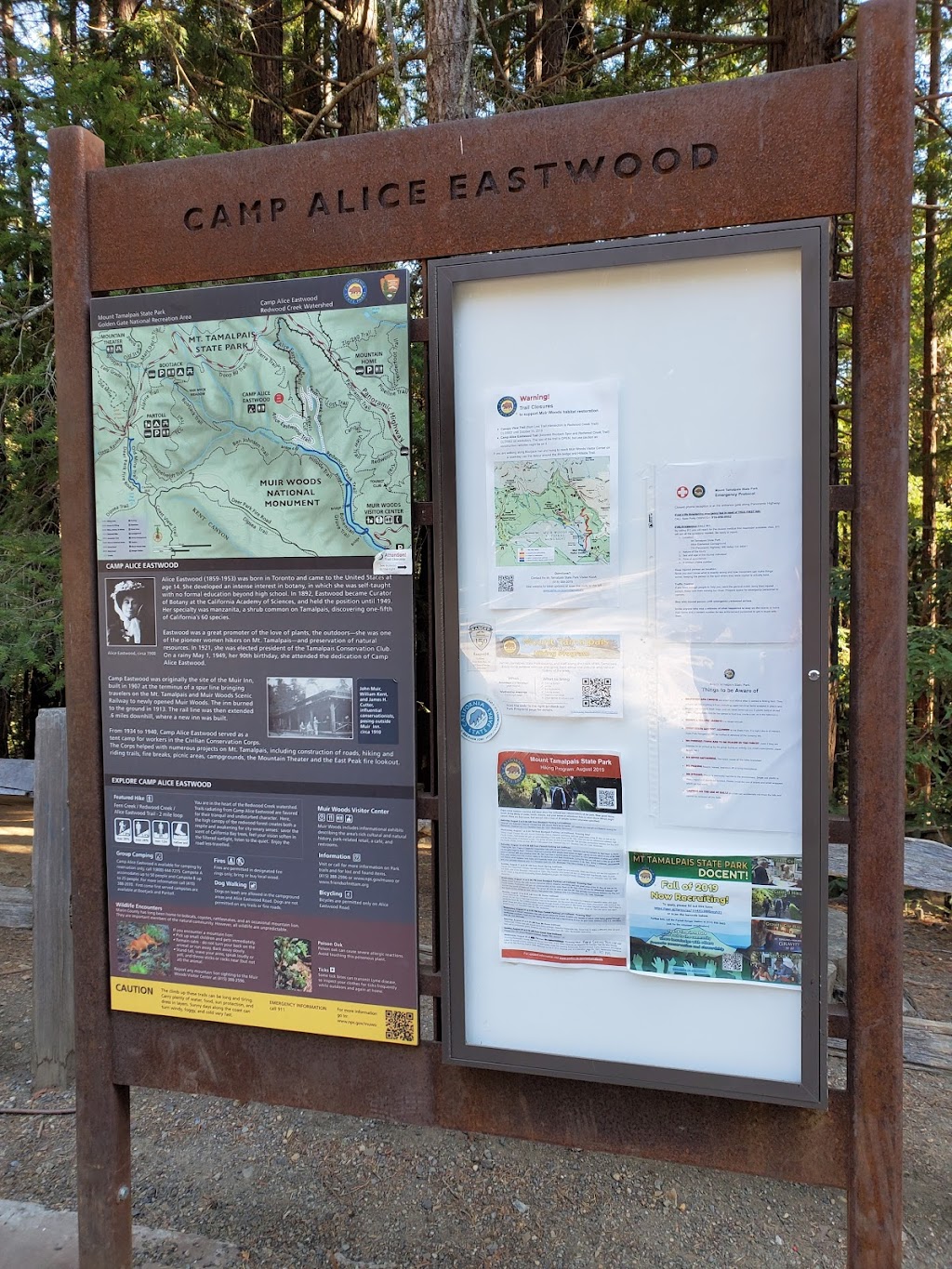 Alice Eastwood Group Campsite | 753 Panoramic Hwy, Mill Valley, CA 94941 | Phone: (415) 388-2070