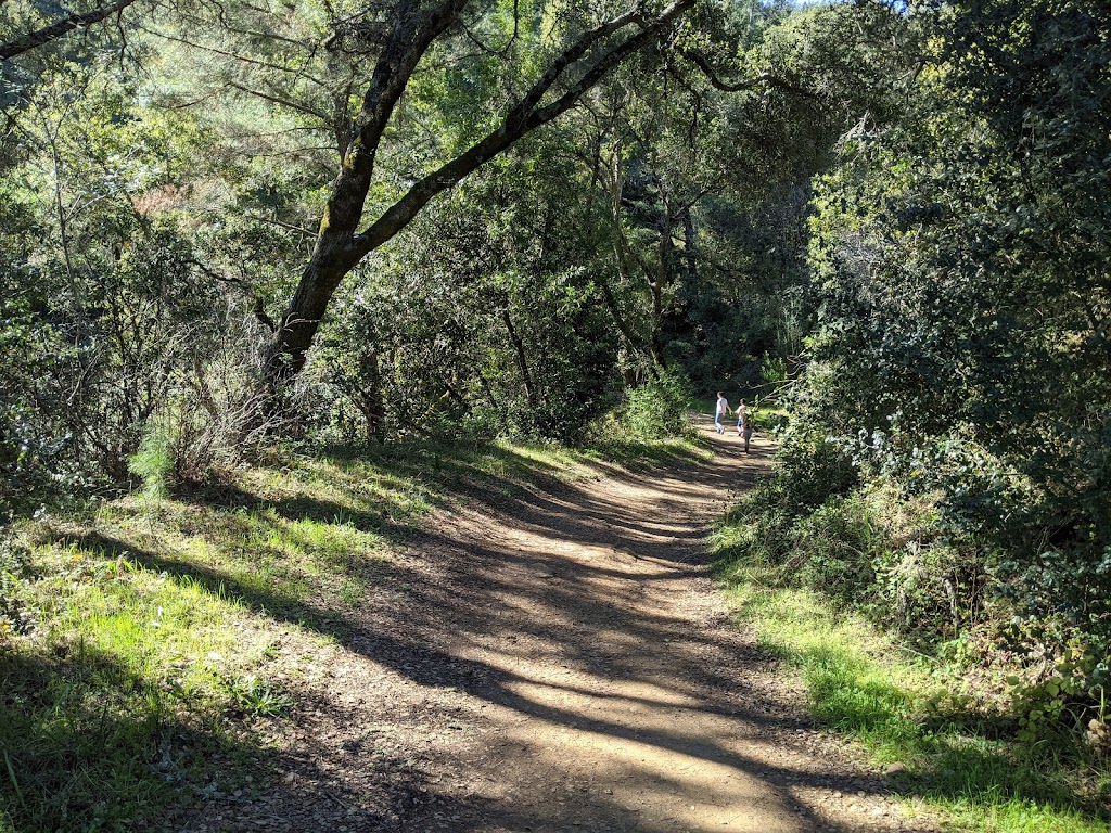 Thornewood Open Space Preserve | 707 La Honda Rd, Woodside, CA 94062 | Phone: (650) 691-1200