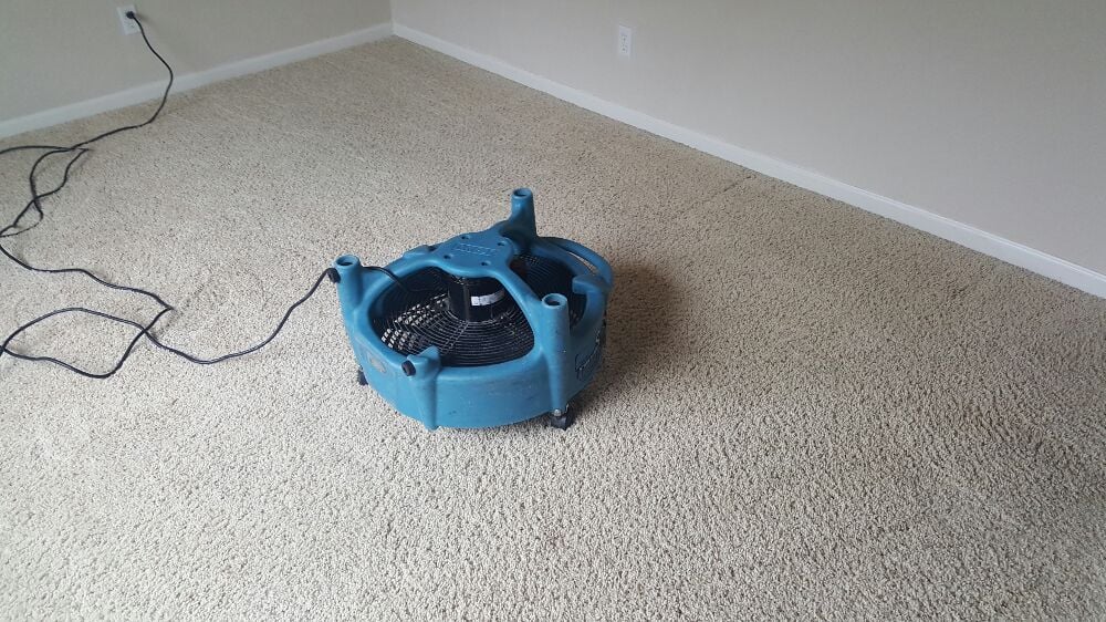 Anoumans Carpet & Upholstery Cleaning | 103 Ventana Dr, American Canyon, CA 94503 | Phone: (510) 658-8029