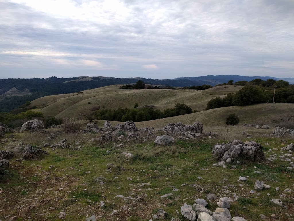 Monte Bello Open Space Preserve | 4301 Page Mill Rd, Los Altos, CA 94022 | Phone: (650) 691-1200