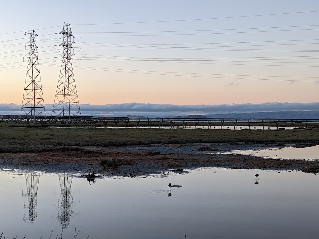 Lucy Evans Baylands Nature Interpretive Center | 2775 Embarcadero Rd, Palo Alto, CA 94303 | Phone: (650) 329-2506