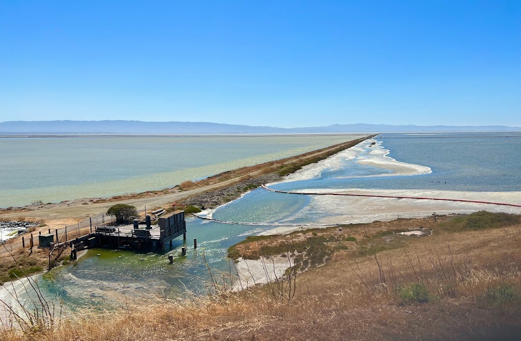 Coyote Hills Regional Park | 8000 Patterson Ranch Rd, Fremont, CA 94555 | Phone: (510) 544-3220