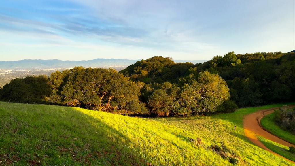 Windmill Pasture Trailhead | Rhus Ridge Trail, Los Altos Hills, CA 94022 | Phone: (650) 691-1200