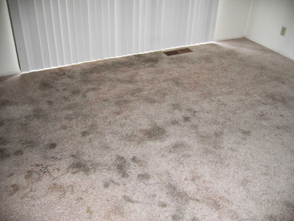 Eminent Carpet Cleaning | 3909 Grand Canyon Ct, Pleasanton, CA 94588 | Phone: (925) 570-0833