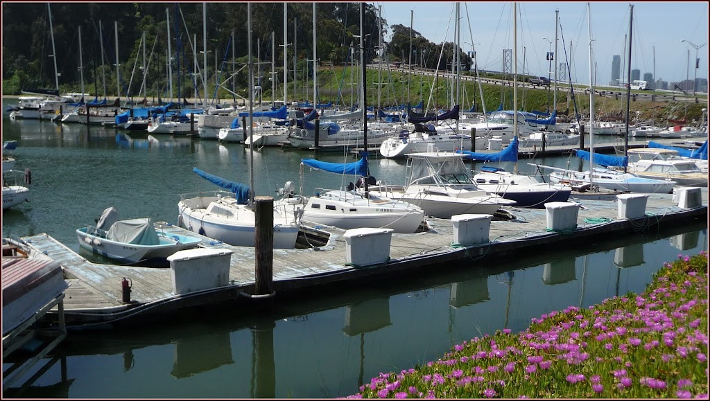 Golden Gate Sailing Tours | 1 Clipper Cove Way, San Francisco, CA 94130 | Phone: (510) 499-0134