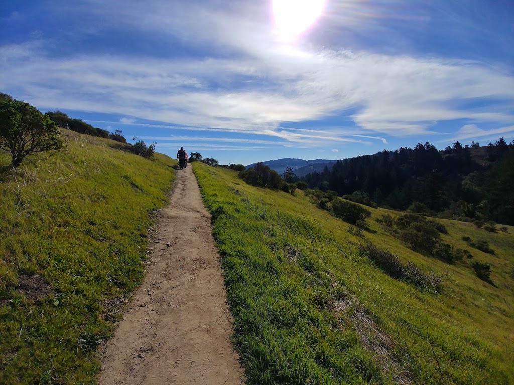 Windy Hill Open Space Preserve | Portola Valley, CA 94028 | Phone: (650) 691-1200