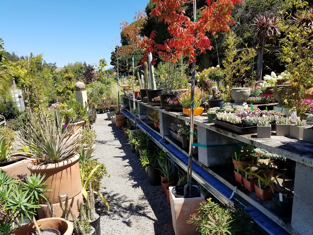 Green Jeans Garden Supply | 690 Redwood Hwy, Mill Valley, CA 94941 | Phone: (415) 389-8333