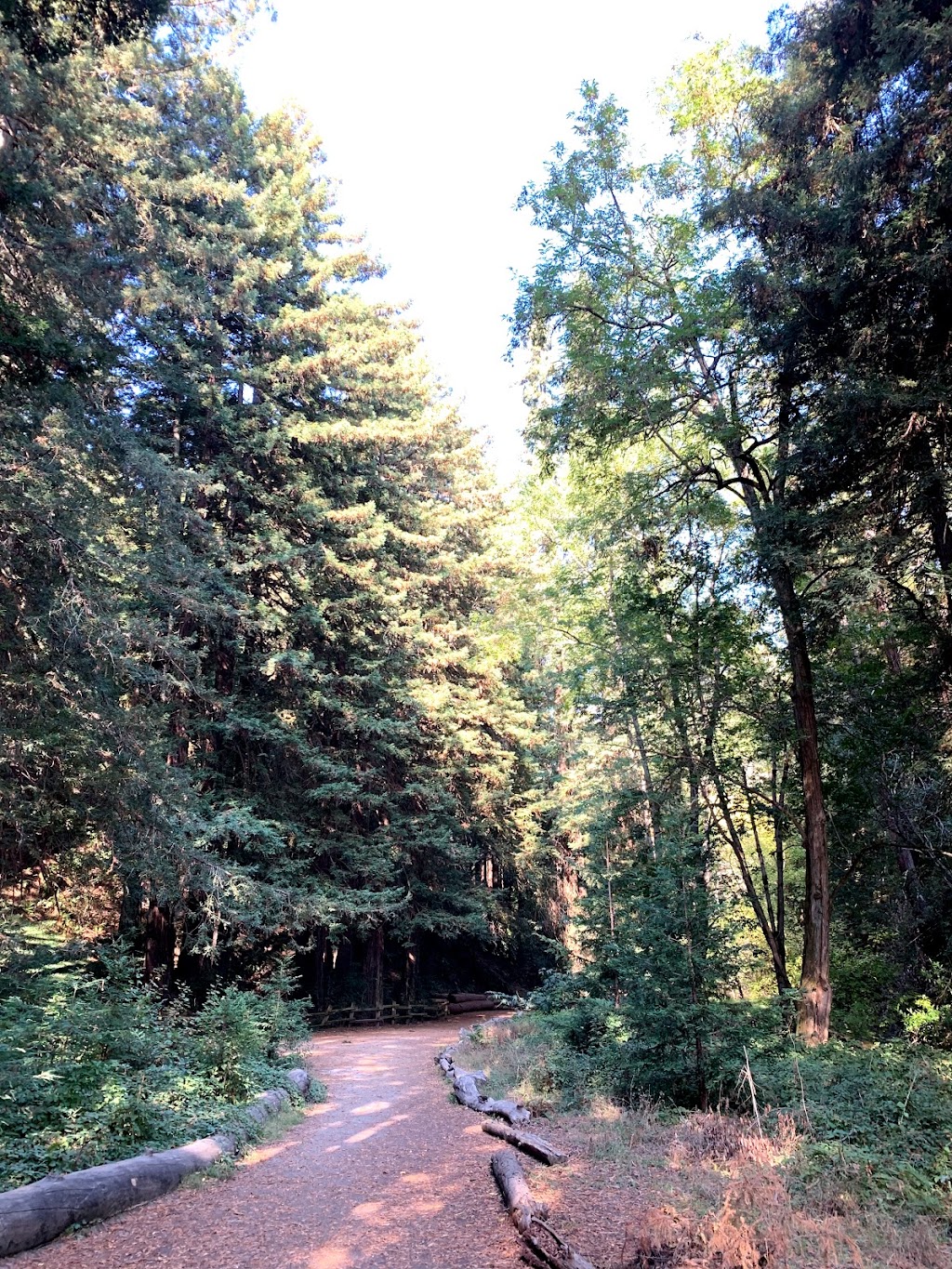 Fern Dell Group Campsite | 7867 Redwood Rd, Oakland, CA 94619 | Phone: (888) 327-2757 ext. 2