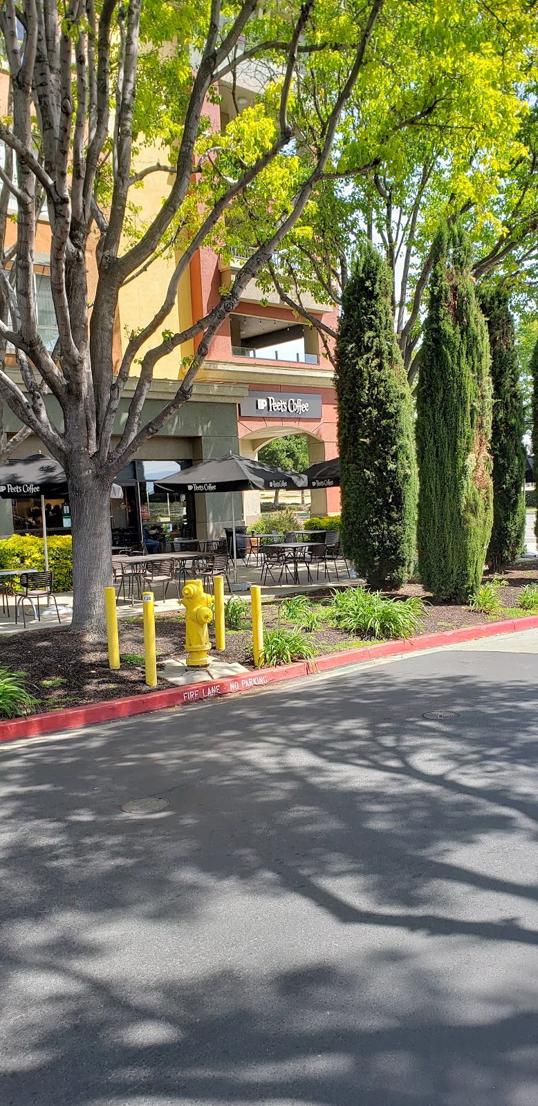 Peets Coffee | 4620 Tassajara Rd C, Dublin, CA 94568 | Phone: (925) 404-0095