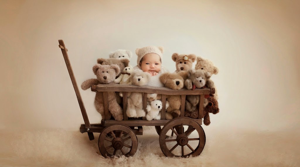 Willow Baby Photography | 1472 Cherry Ave, San Jose, CA 95125 | Phone: (408) 439-4616