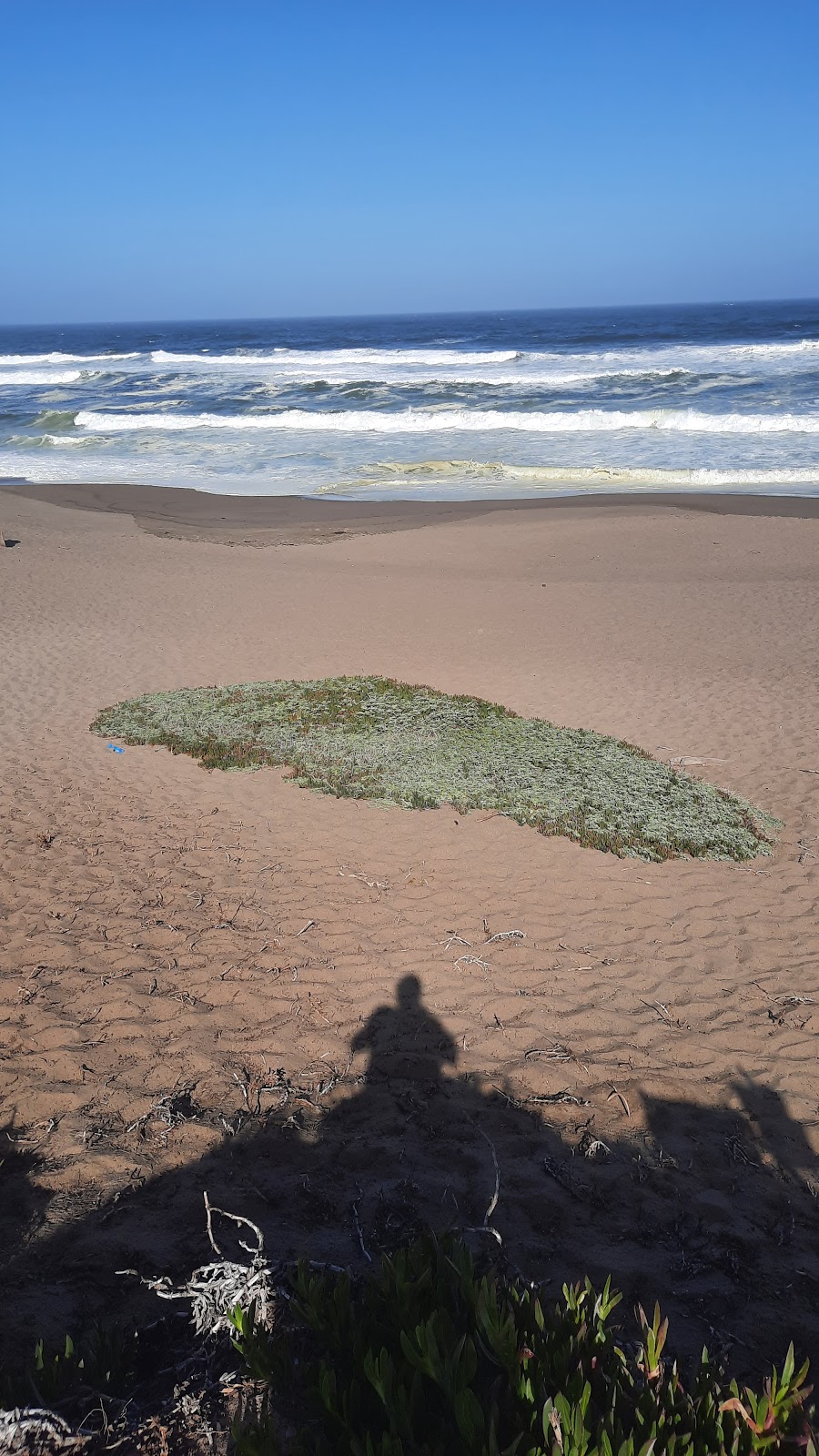 Beaches of Point Reyes | Bear Valley Rd, Point Reyes Station, CA 94956 | Phone: (415) 464-5100