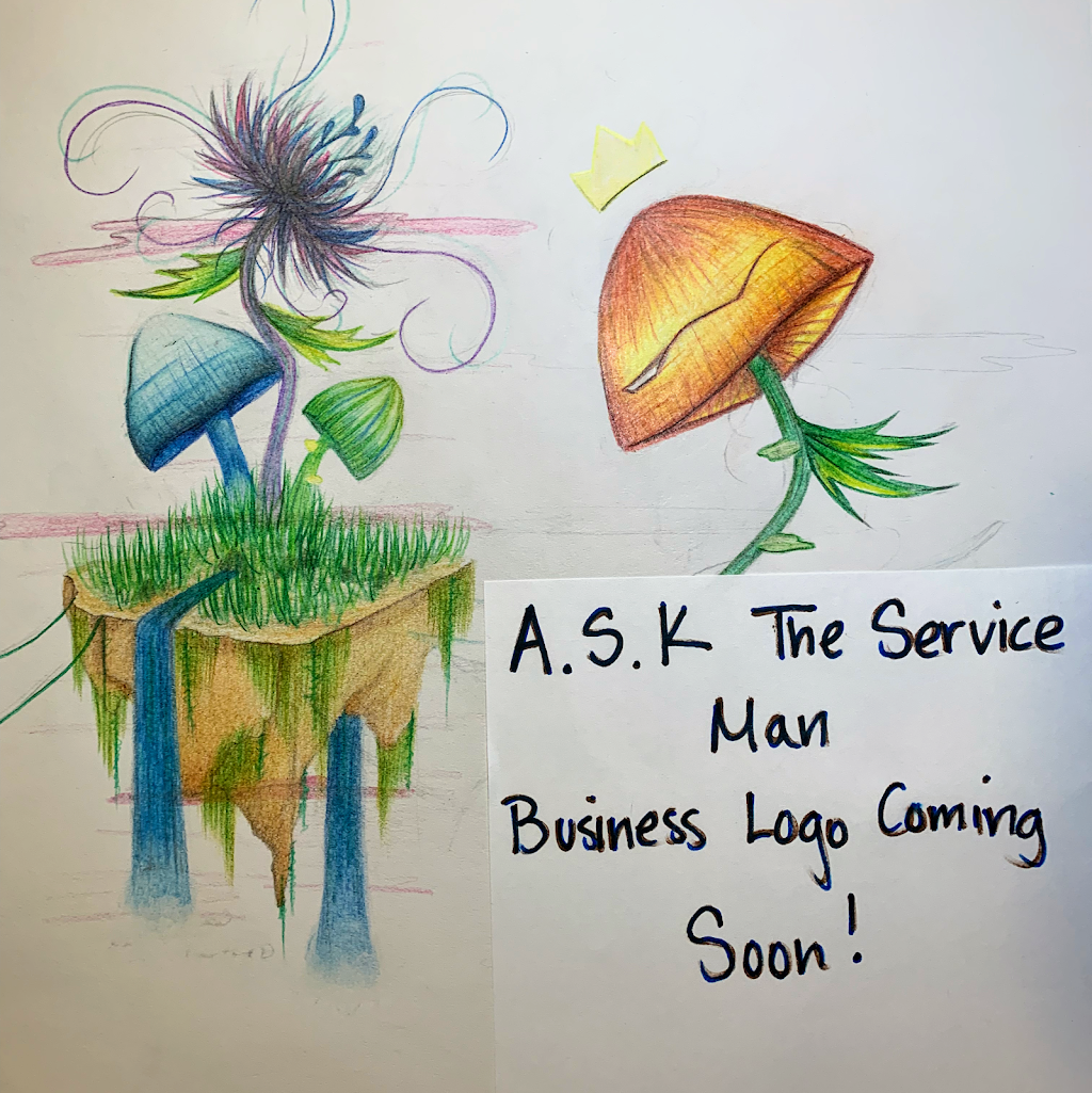 A.S.K. The Service Man | 3900 Business Center Dr, Fairfield, CA 94534 | Phone: (707) 580-9938