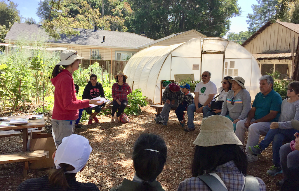 Collective Roots Community Garden | 1785 Woodland Ave, East Palo Alto, CA 94303 | Phone: (925) 771-2990