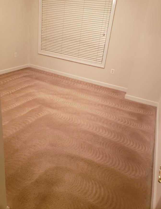 Queen Carpet & Upholstery Cleaning | 340 Westlake Center, Daly City, CA 94015 | Phone: (650) 275-5882
