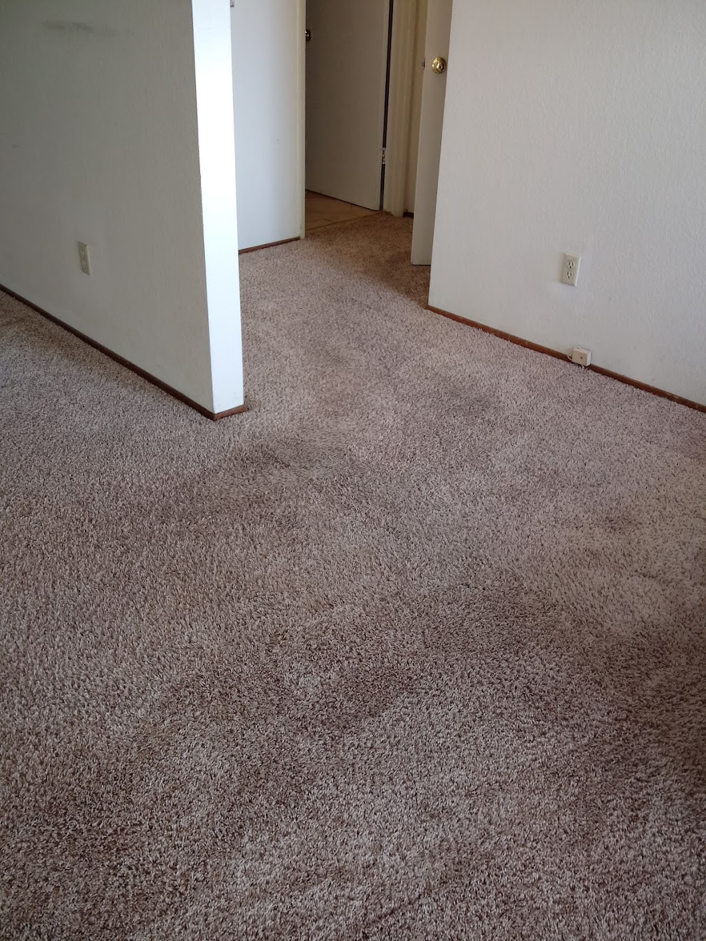Carpet Cleaning Steam Clean | 31770 Alvarado Blvd, Union City, CA 94587 | Phone: (510) 585-1010