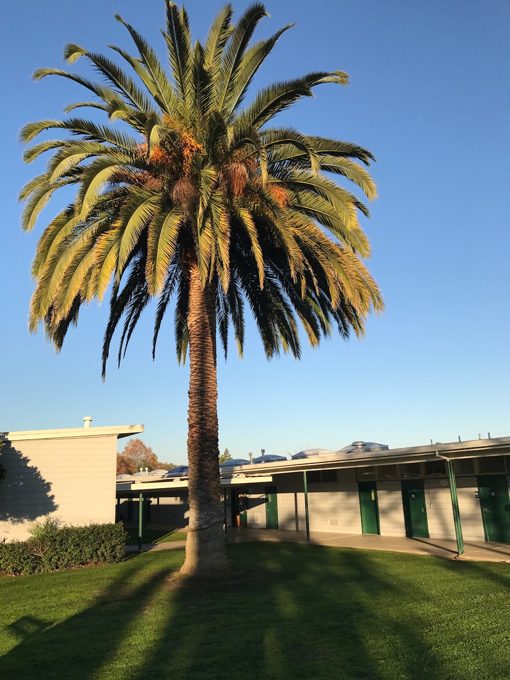 Lynwood Elementary School | 1320 Lynwood Dr, Novato, CA 94947 | Phone: (415) 897-4161