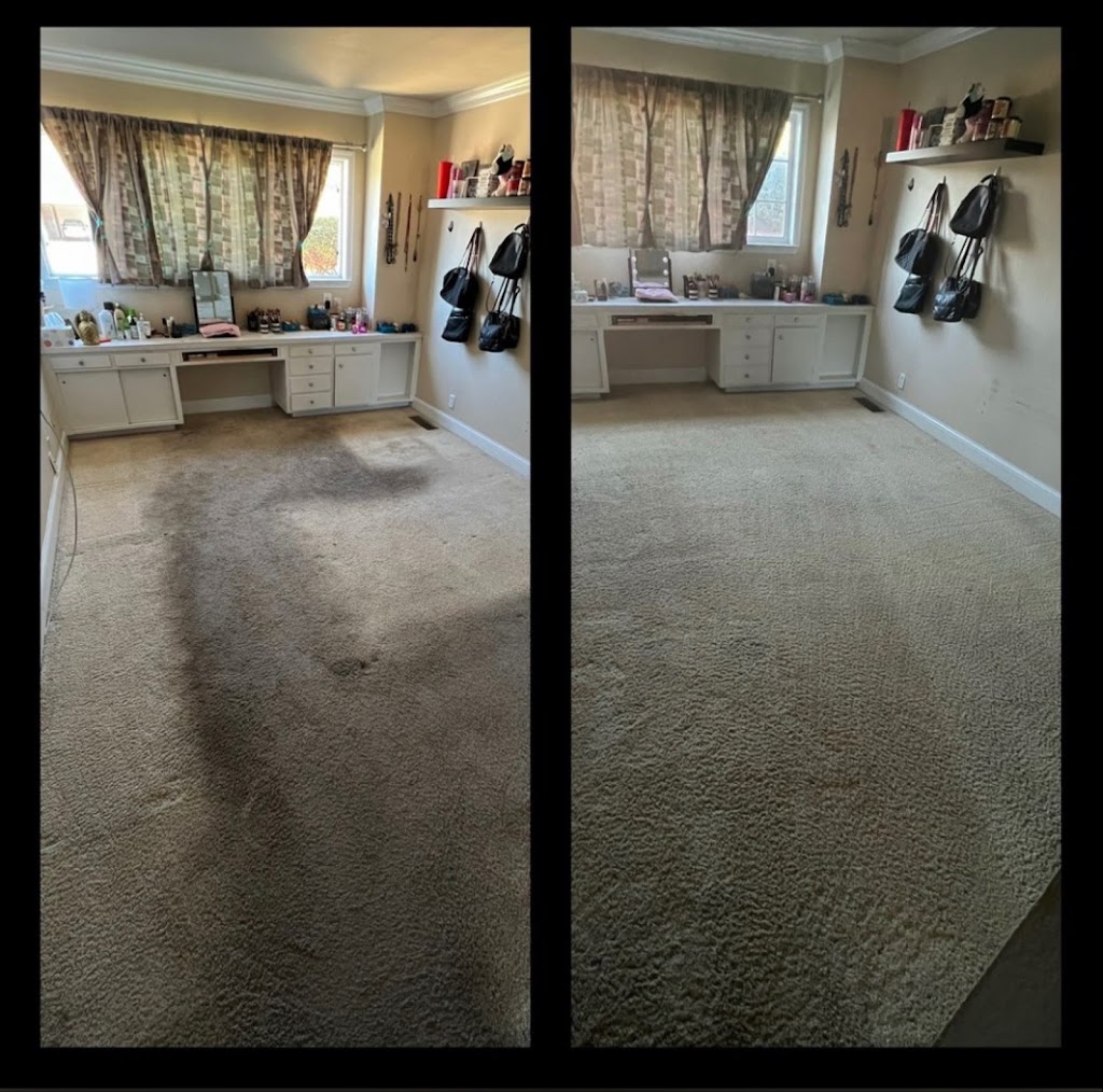 Next level carpet care | 1022 Nutmeg Dr, Oakley, CA 94561 | Phone: (925) 727-4304