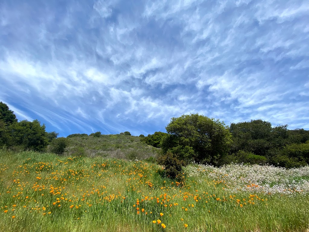 Leona Canyon Regional Open Space Preserve | Campus Drive and Keller Ave, Leona Trail, Oakland, CA 94605 | Phone: (888) 327-2757