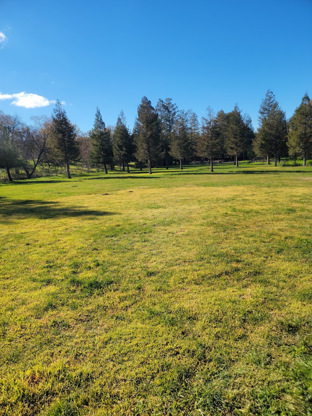 Newhall Community Park | 1351 Newhall Pkwy, Concord, CA 94521 | Phone: (925) 671-3404